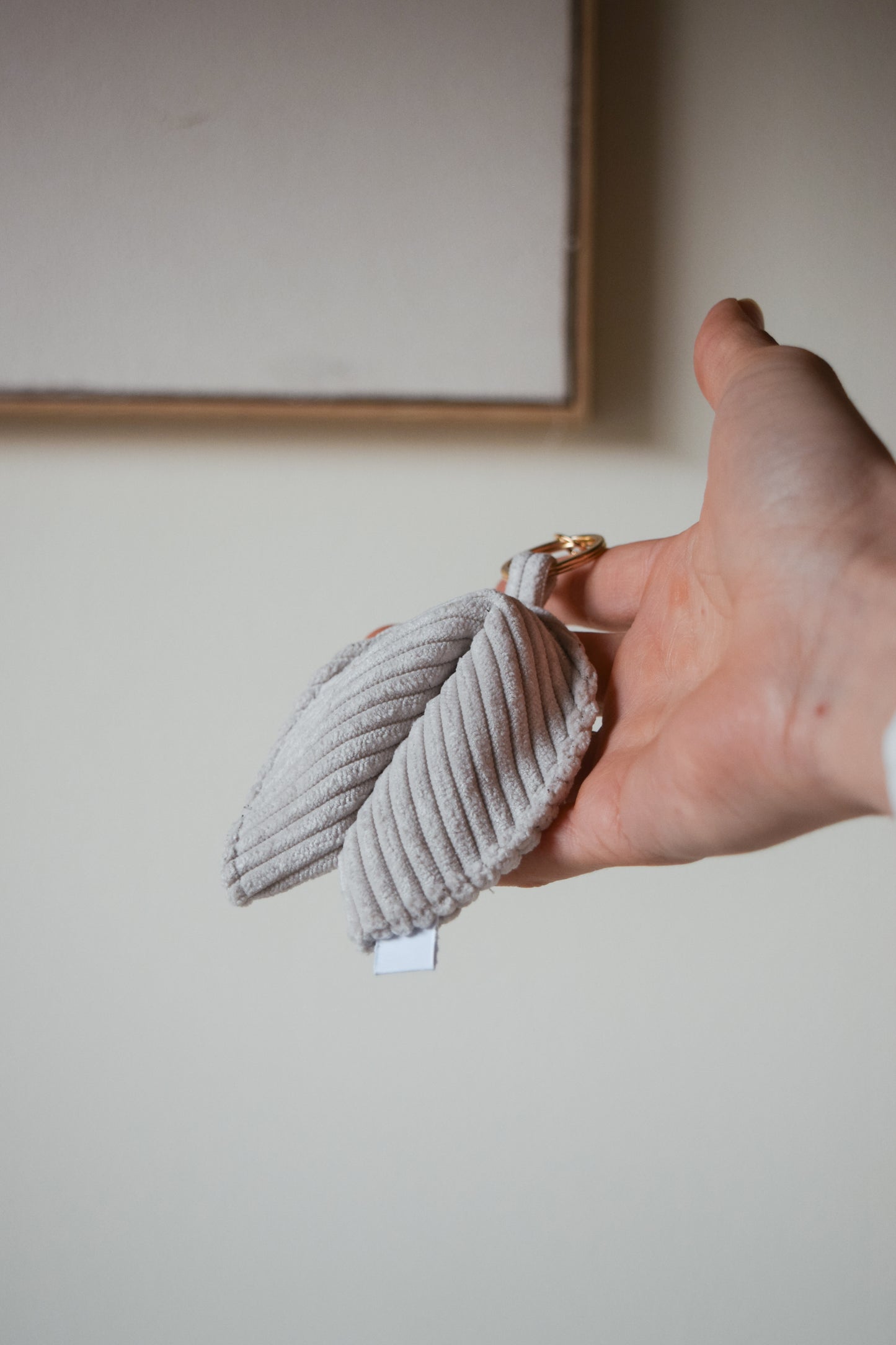 (non)biscotto della fortuna