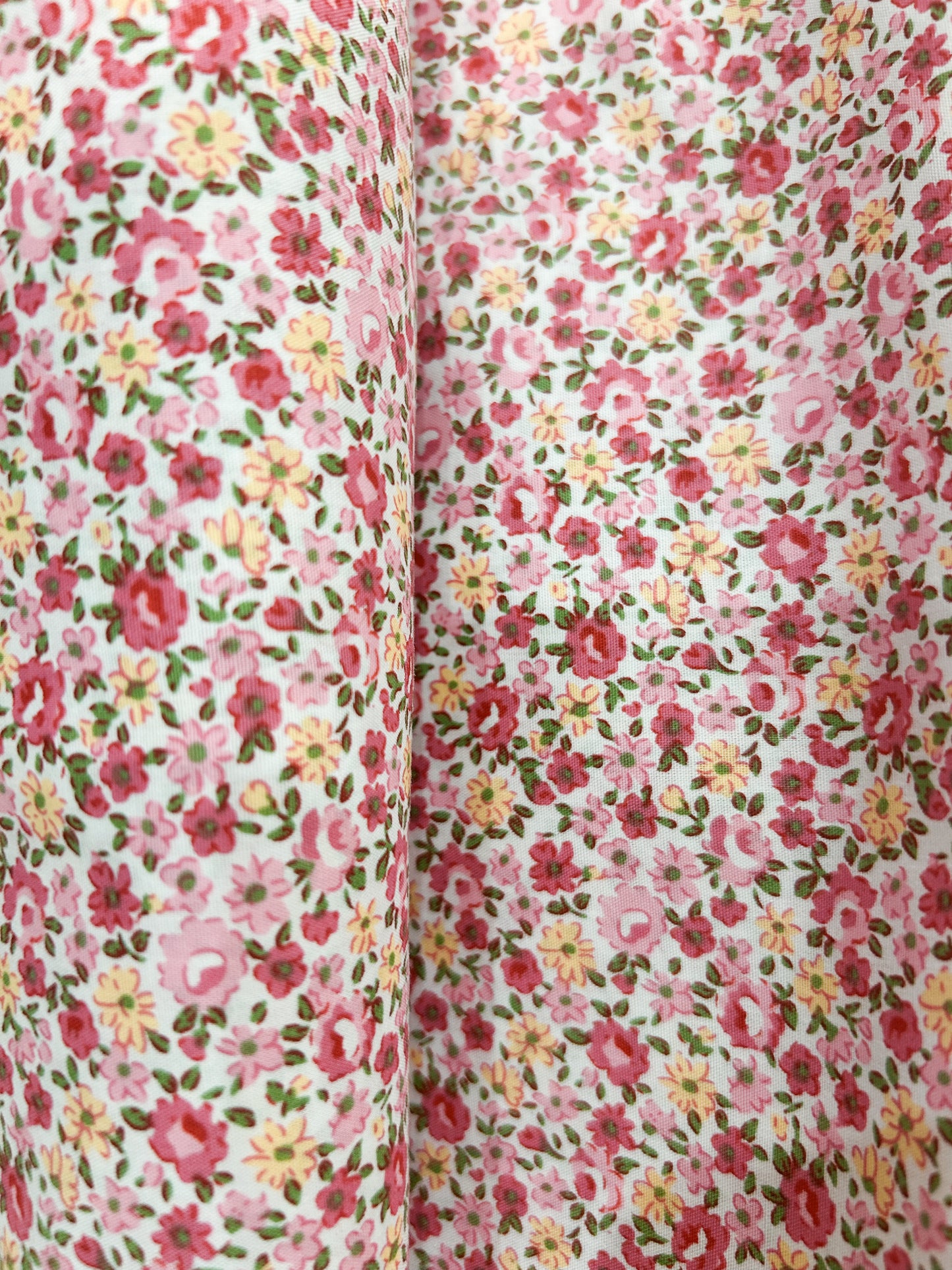 (non)biscotto della fortuna