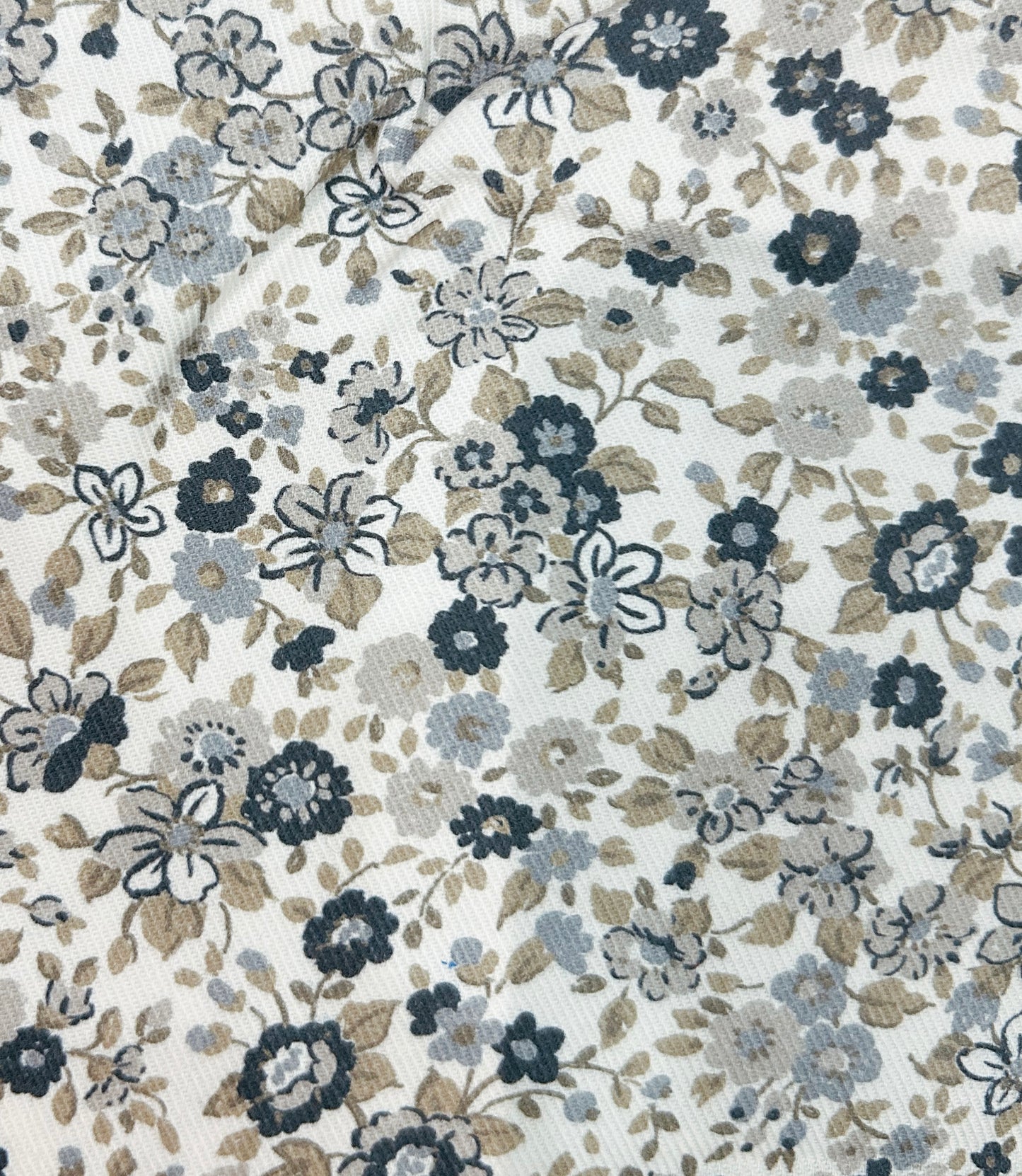 (non)biscotto della fortuna