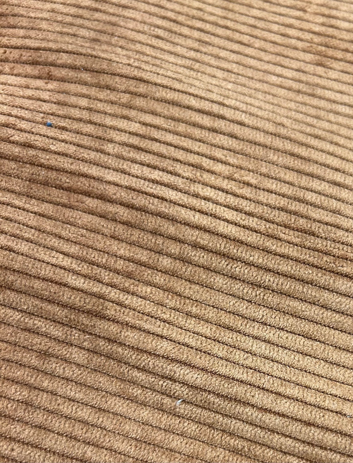 (non)biscotto della fortuna