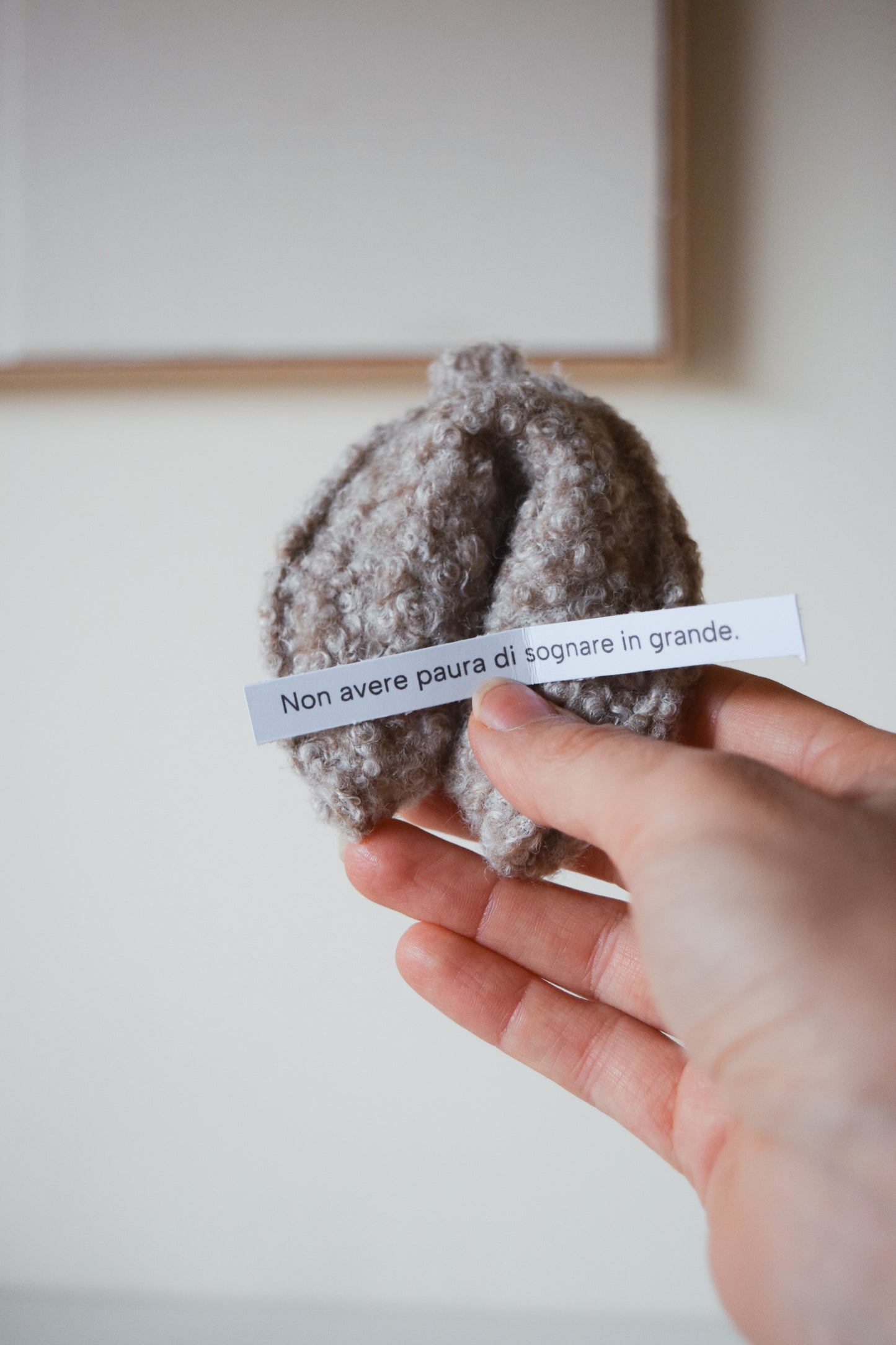 (non)biscotti della fortuna - Mystery Box 3 pezzi